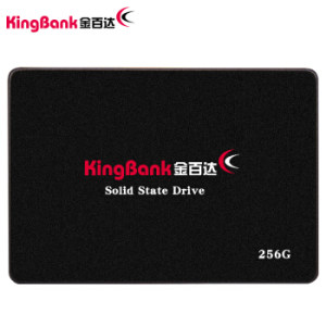 KINGBANK 金百达 KP320 SSD固态硬盘 256GB