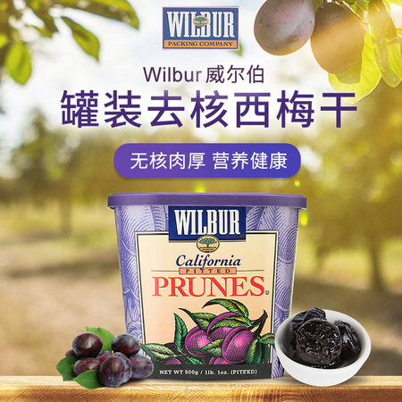WILBUR 麦德龙 美 去核西梅干 500g*2包