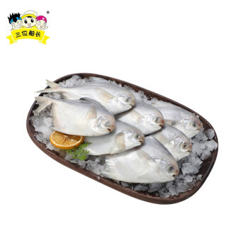 14点开始、运费券收割机：三位船长 东海银鲳鱼 500g（5-7条）