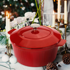 德国 韦诺森 Velosan 超高颜值 珐琅铸铁锅 24cm/3.8L