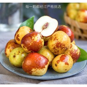 国家地理标志产品 陕西大荔冬枣 5斤