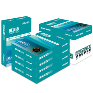 deli 得力 珊瑚海 80g A4中档款复印纸 500张*5包