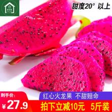 双重优惠！邻里赞 海南 金都一号红心火龙果 5斤