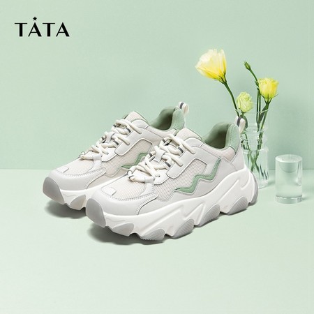 Tata 他她 DSXCCBM0 网洞老爹鞋