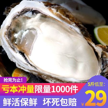 限地区：仨老西 乳山鲜活生蚝 M号(70g以下) 净重4斤