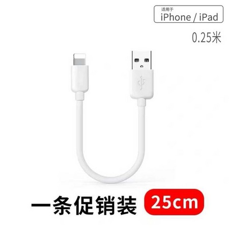 自由光 iPhone数据线 25cm