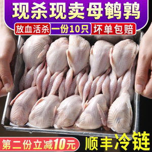 现杀现卖新鲜大鹌鹑 高蛋白低脂 10只/1200g 33.8元包邮