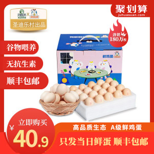 五星级酒店供应商 鸡仔总动员 当天产A级生鸡蛋 40枚 无菌无抗生素