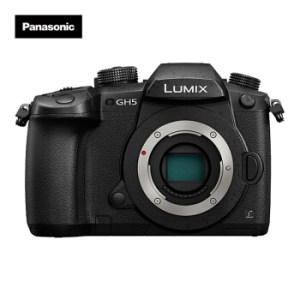 Panasonic 松下 Lumix DC-GH5 M4/3无反相机