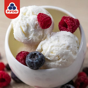 乌克兰进口 如迪 网红牛乳冰激凌 500g*2盒 牛乳含量50%以上 79元包邮