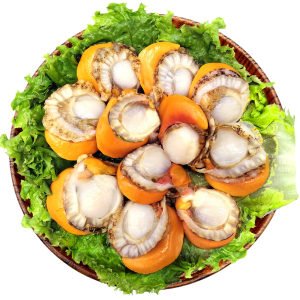 星渔 新鲜冷冻扇贝肉 3斤 40-60粒/斤 49.9元包顺丰冷链
