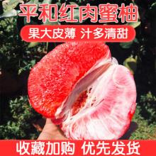 超值10斤 福建平和琯溪红心蜜柚