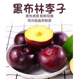 老农贺 黑布林李子 带箱10斤 现摘现发