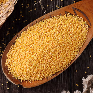 柴火大院 内蒙古黄小米 480g*4袋 
 米色金黄