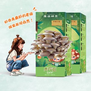 亲子DIY魔菇精灵 自己种蘑菇 2盒