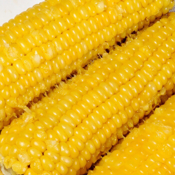 东北农嫂 全黄糯玉米 200g*8支