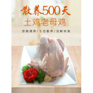 首农旗下 百年栗园 500天散养老母鸡 2斤*2只