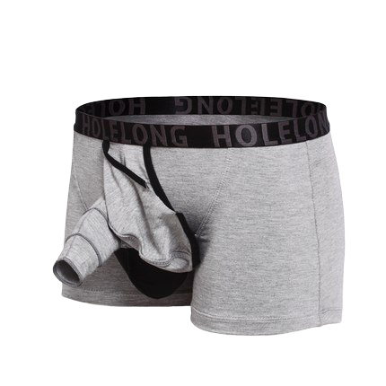 Holelong 活力龙 HCPM028 男款分离式平角内裤