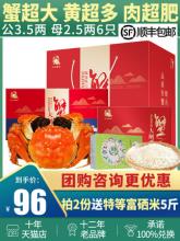 虾兵蟹将 阳澄湖大闸蟹礼券 公蟹3.5两 母蟹2.5两各3只