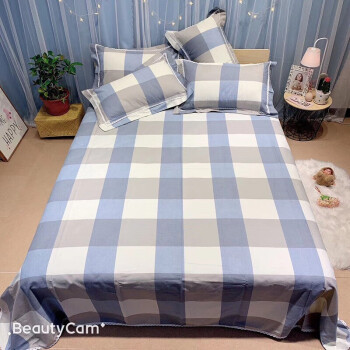 Xanlenss 轩蓝仕 粗布纯棉软凉席三件套 1.8m