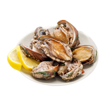 wecook 味库海鲜 鲜活鲍鱼 15-18头 500g