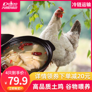 国家重点企业 大用 农家散养走地鸡 730g*4只
