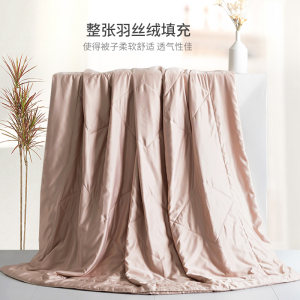 北京奥运会家具供应商 皇朝家私 100支仿天丝夏凉被 1.5米