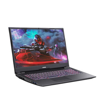 Hasee 神舟 战神TX6-CU5DA 16.1英寸游戏本（i5-10400、8G、512G、GTX1650、72%）