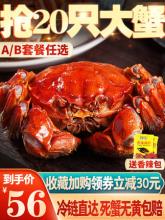 茅山竹海 鲜活六月黄特大公母螃蟹 600g