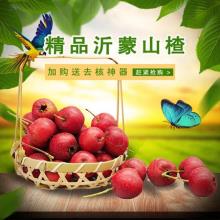 桑村刘大姐 现摘现发 2020新鲜沂蒙金星山楂果 3斤