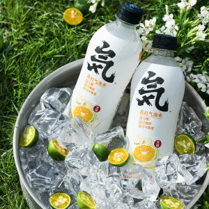 元気森林 清爽卡曼橘味苏打气泡水 480ml*12瓶 0糖0脂0卡路里