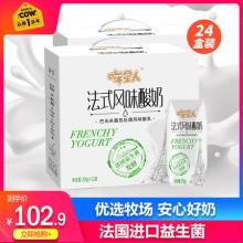 认养一头牛 哞星人 法国益生菌种发酵酸奶 200g*12盒*2箱