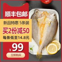海角7号新鲜大黄花鱼 200g*5条