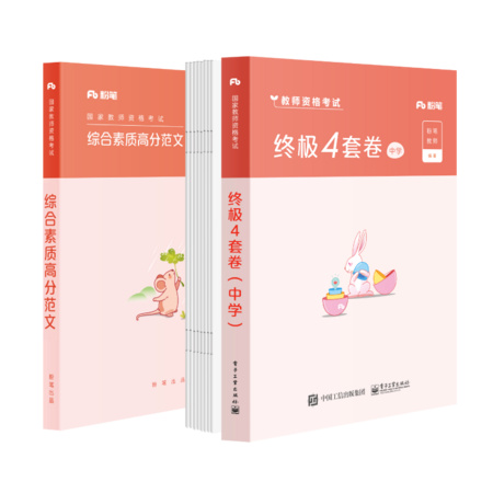 粉笔 2020国家教师资格考试 终极4套卷（中学）