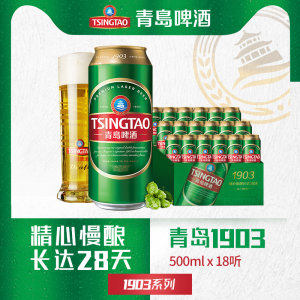 青岛 金头1903精酿啤酒 500ml*18听