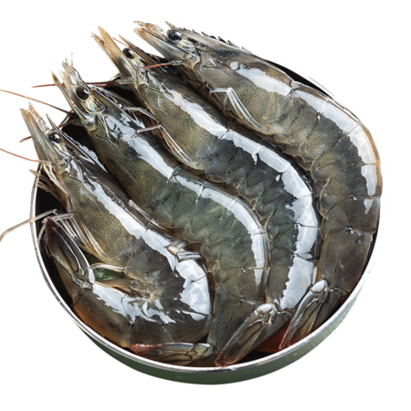 虾有虾途 超大青虾 13-15厘米 3.3-3.6斤