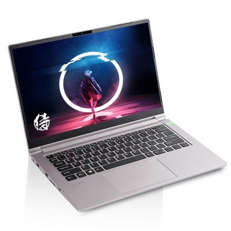 VAIO FH14 侍14 14英寸笔记本电脑（i5-1135G7、16GB、512GB、GTX1650Ti）