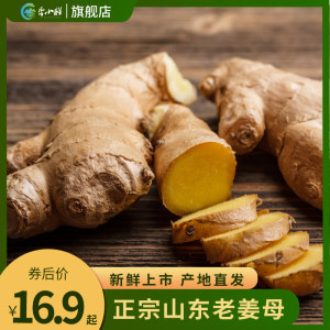 山东特产 潍坊精品生姜 3斤