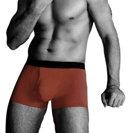 DAPU 大朴 AF5N02108 男士内裤