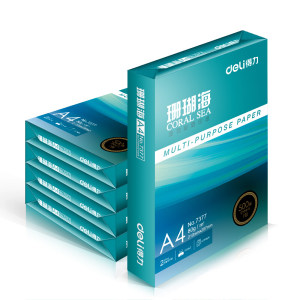 deli 得力 珊瑚海70g A4复印纸 500张/包 5包装（2500张）