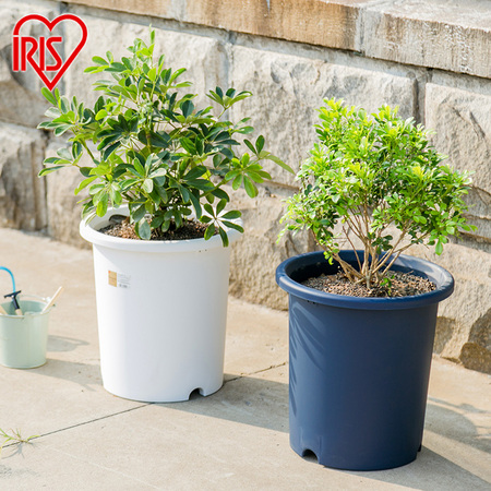IRIS 爱丽思 Deepot 深型花盆 圆形5号