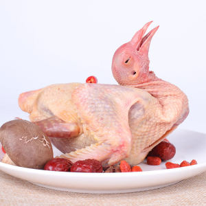 山野色 散养足龄乳鸽 350g*3只 47.7元包邮