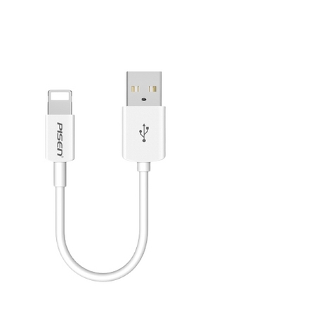 PISEN 品胜 苹果数据线 0.2米