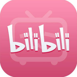 哔哩哔哩 B站VIP 12个月
