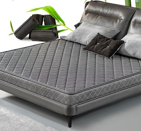 LANDIS 朗蒂斯 棕榈折叠椰棕床垫1.8m