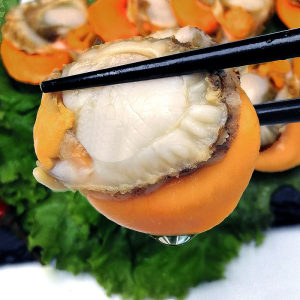 星渔 新鲜冷冻扇贝肉 3斤 40-60粒/斤 49.9元包顺丰冷链