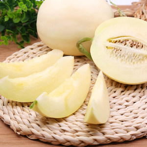 陕西阎良甜瓜 新鲜水果当季甜瓜 5斤大瓜