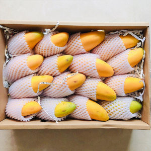 海南 金煌芒 净重8斤 带箱10斤