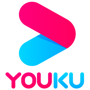 优酷 VIP会员年卡 12个月