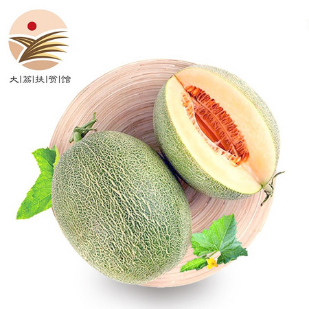 PLUS会员：欣娃 山东西州蜜 哈密瓜 8-9斤装